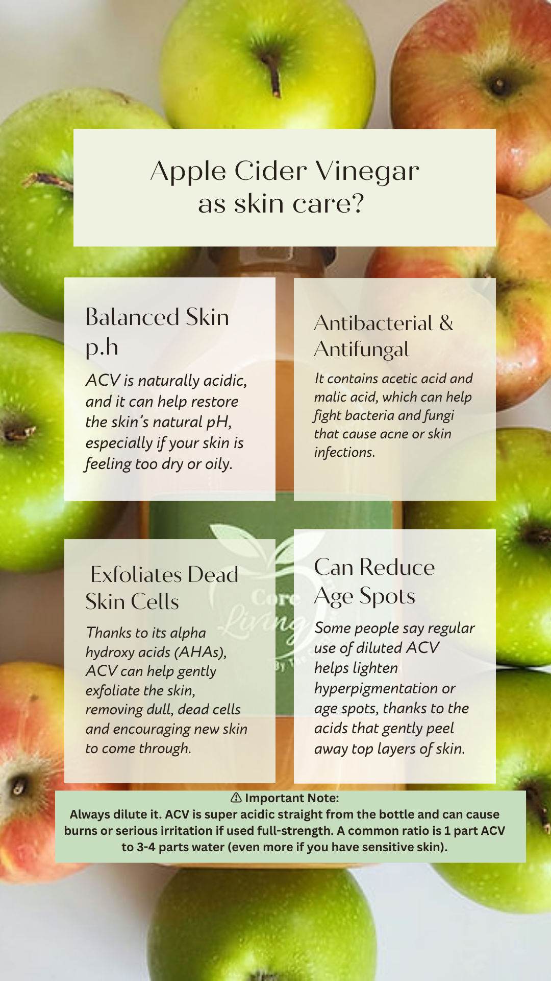 Gut Health, Liver and Hormones
