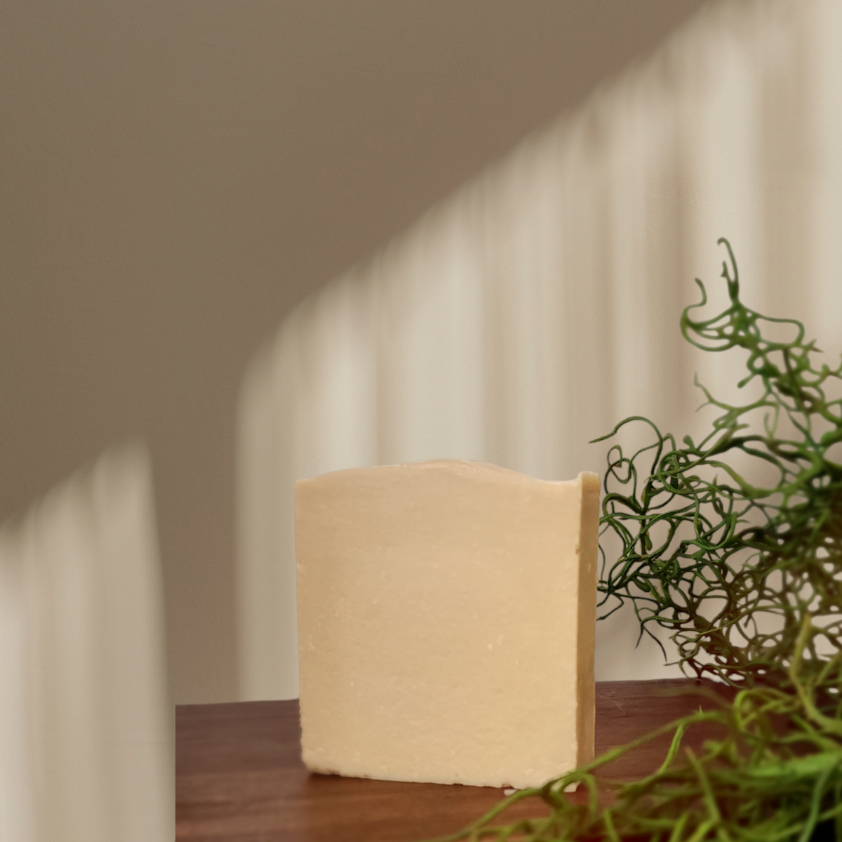 Citrus Woods  + Apple Cider Vinegar Soap
